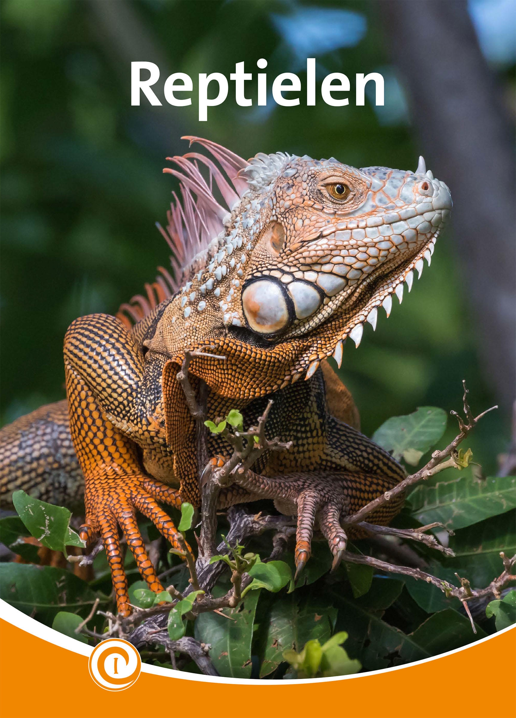 DNBINF203 Reptielen