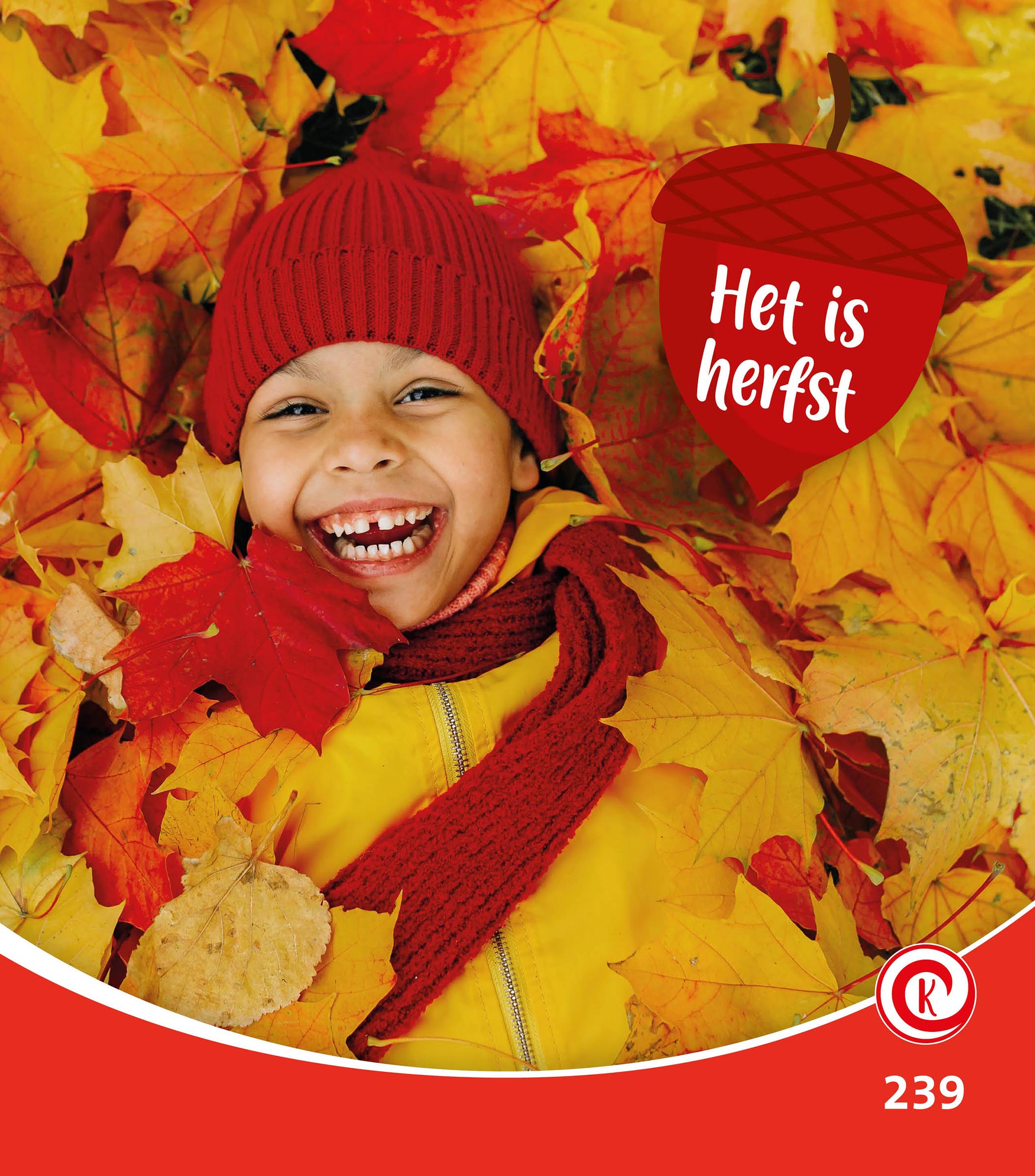 DNBKYK239 Het is herfst