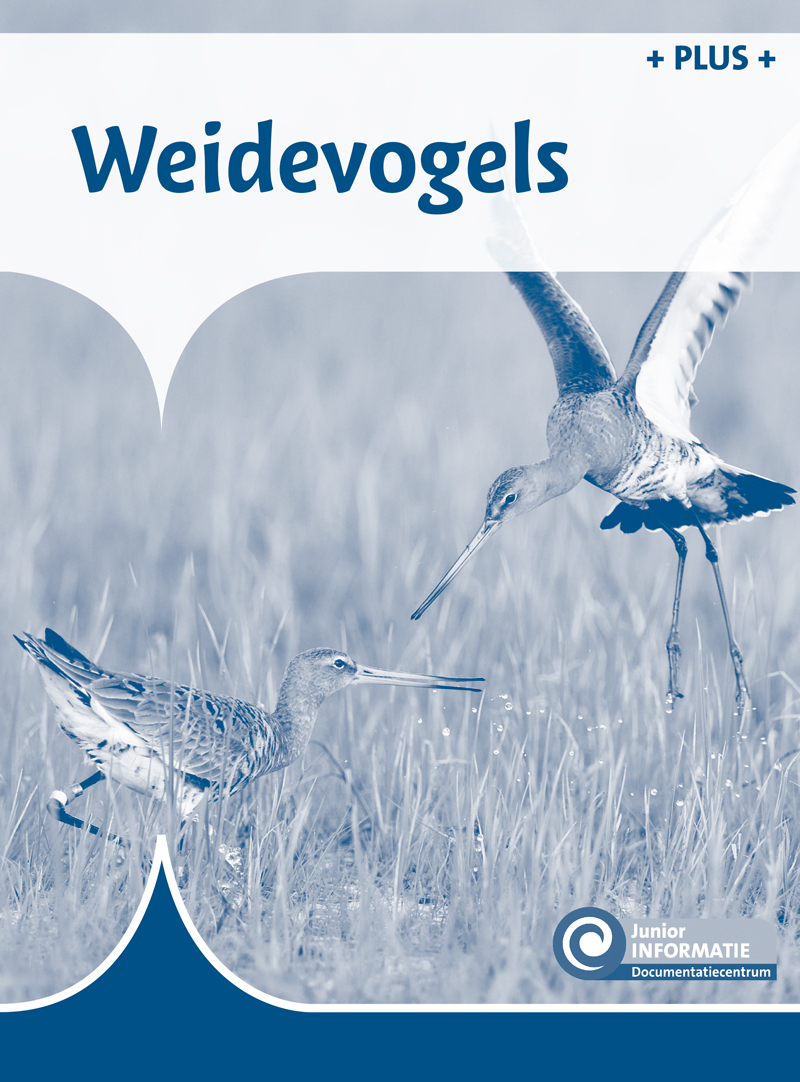 DNKJIN115 Weidevogels (plusboekje)